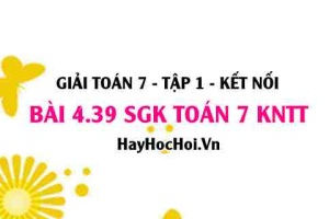 Bài 4.39 SGK Toán 7 tập 1 Kết nối tri thức